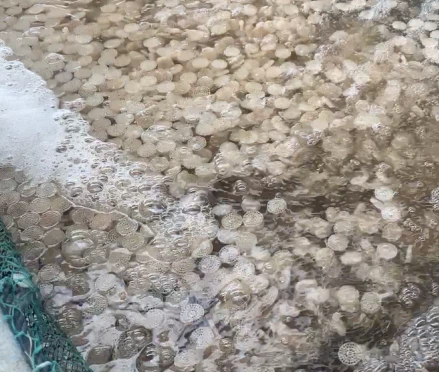 news-439-372 news-439-372